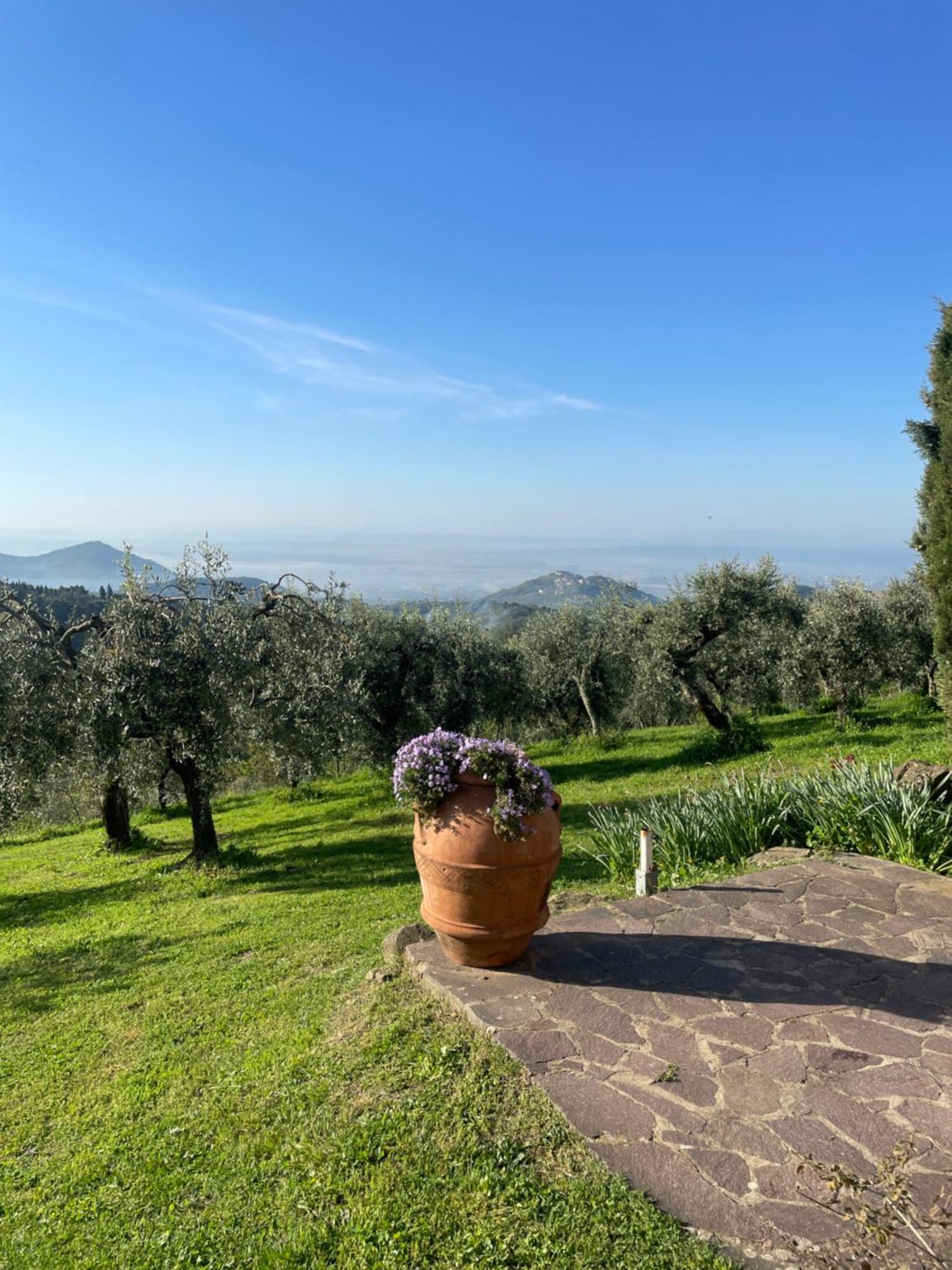 Podere Il Poggio Avaglio Extérieur photo